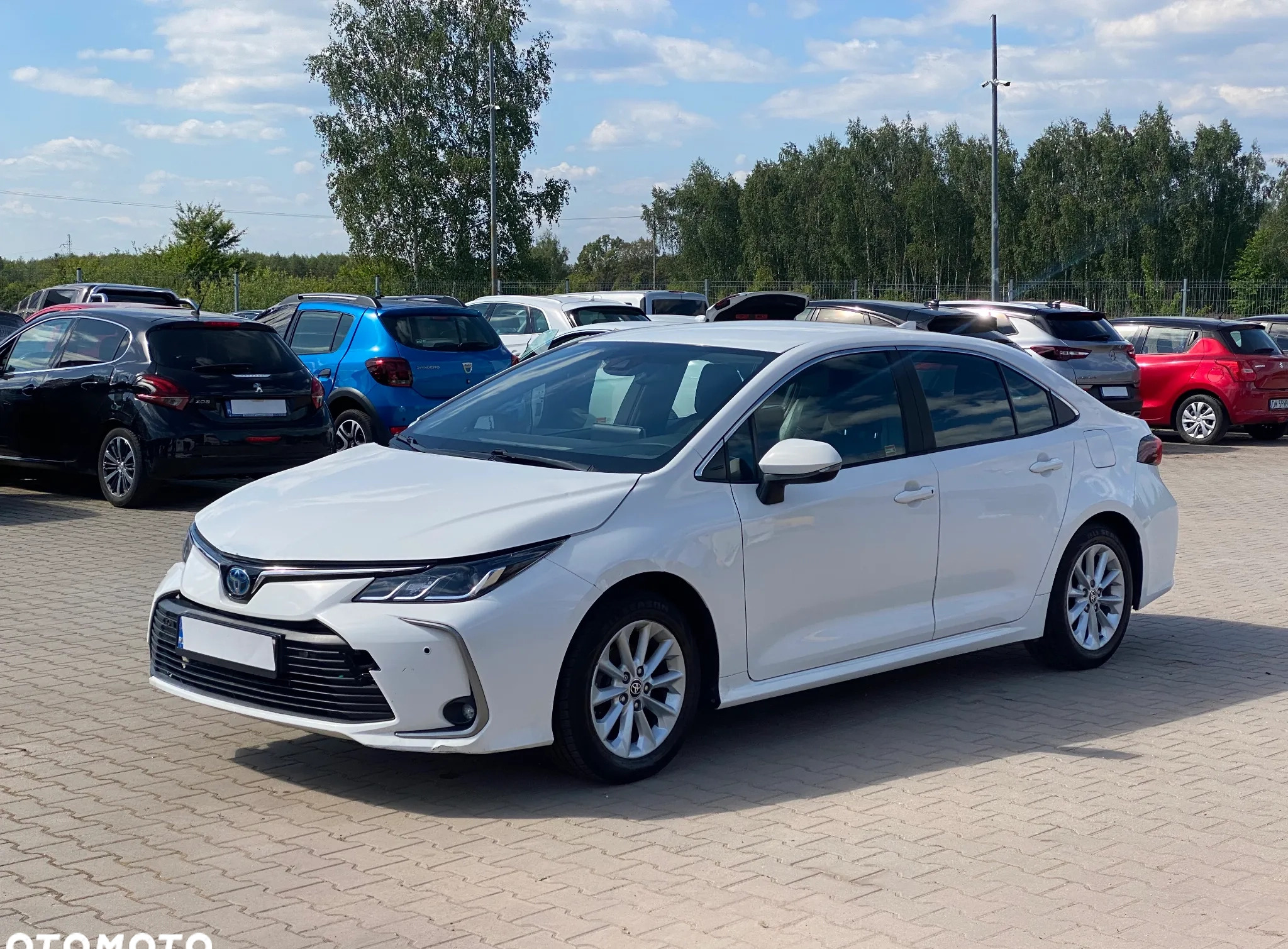 Toyota Corolla cena 59800 przebieg: 166919, rok produkcji 2022 z Rzeszów małe 379